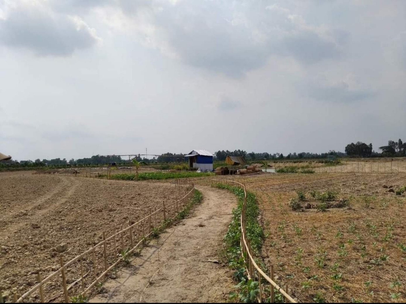 Nông trại dược liệu của Dư ảnh 3