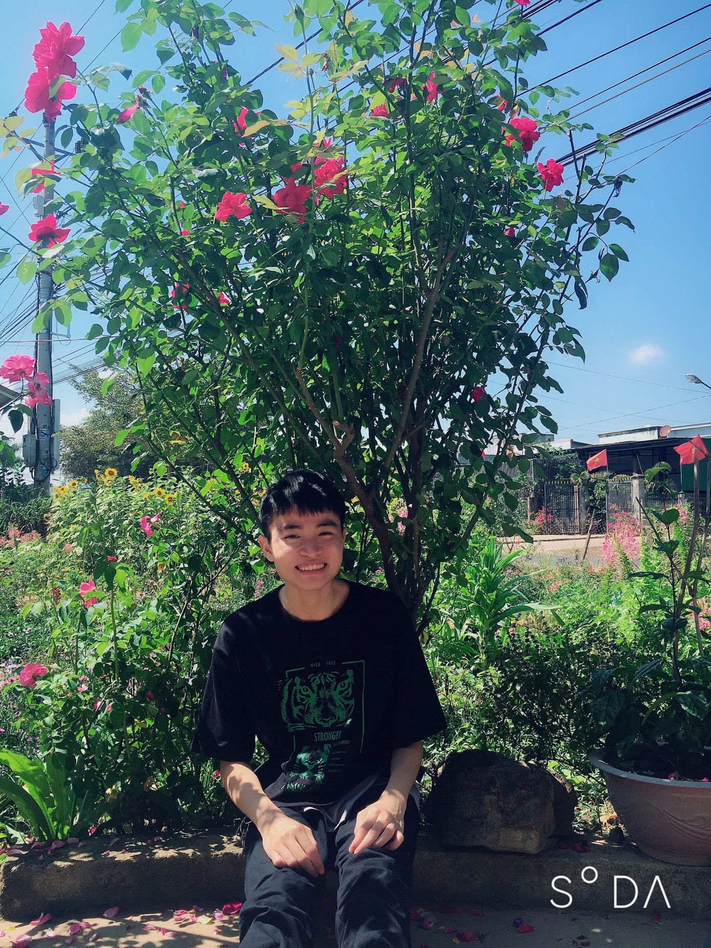 Ước mơ nghề giáo của cậu sinh viên dân tộc Tày ảnh 2