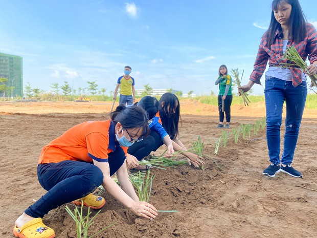 Sinh viên HUTECH hăng hái tham gia công trình “Vườn sinh học HIAS” ảnh 7
