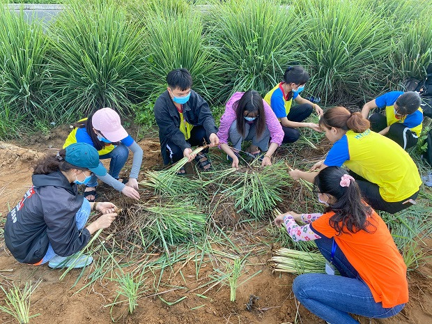 Sinh viên HUTECH hăng hái tham gia công trình “Vườn sinh học HIAS” ảnh 6