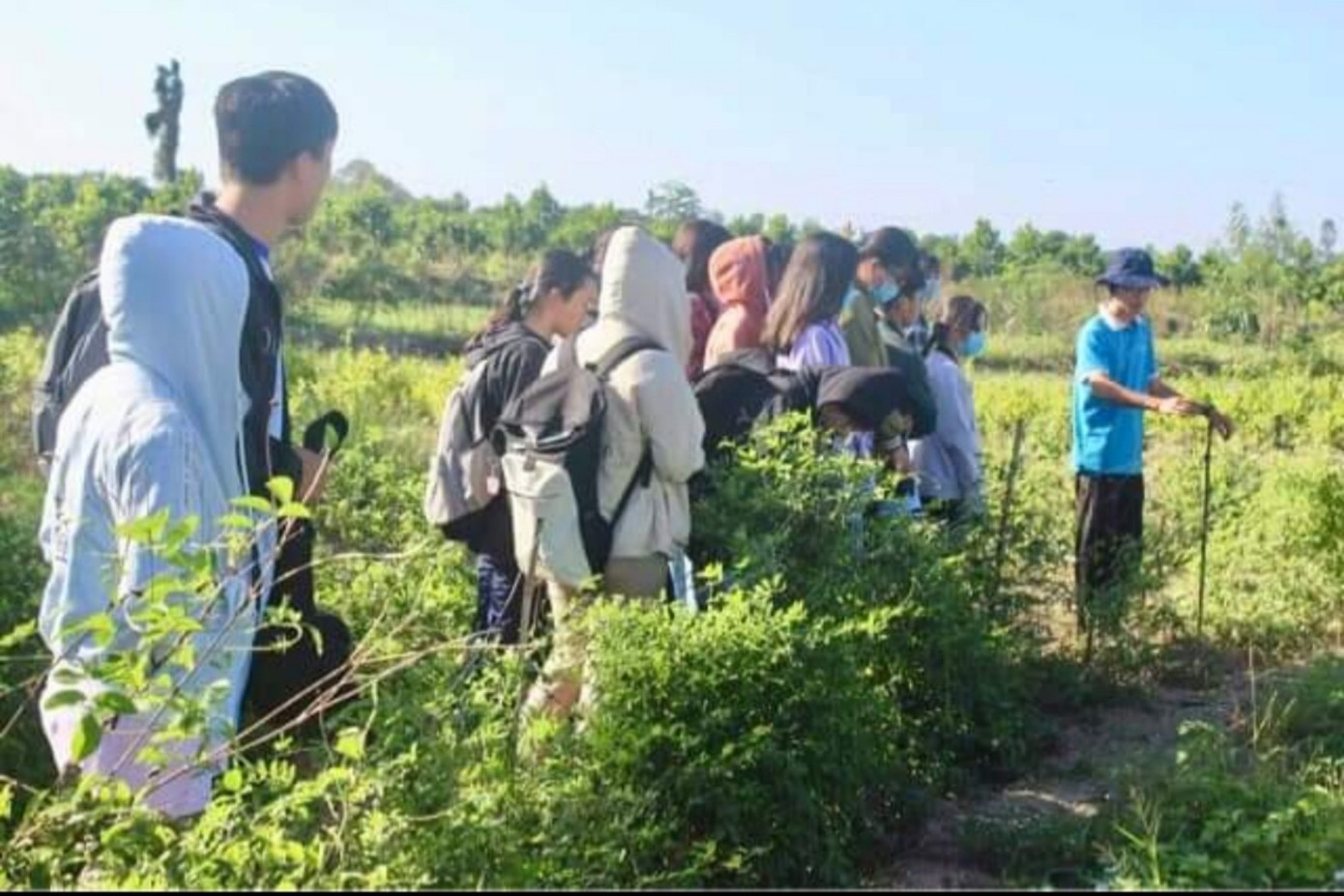 Nông trại dược liệu của Dư ảnh 5