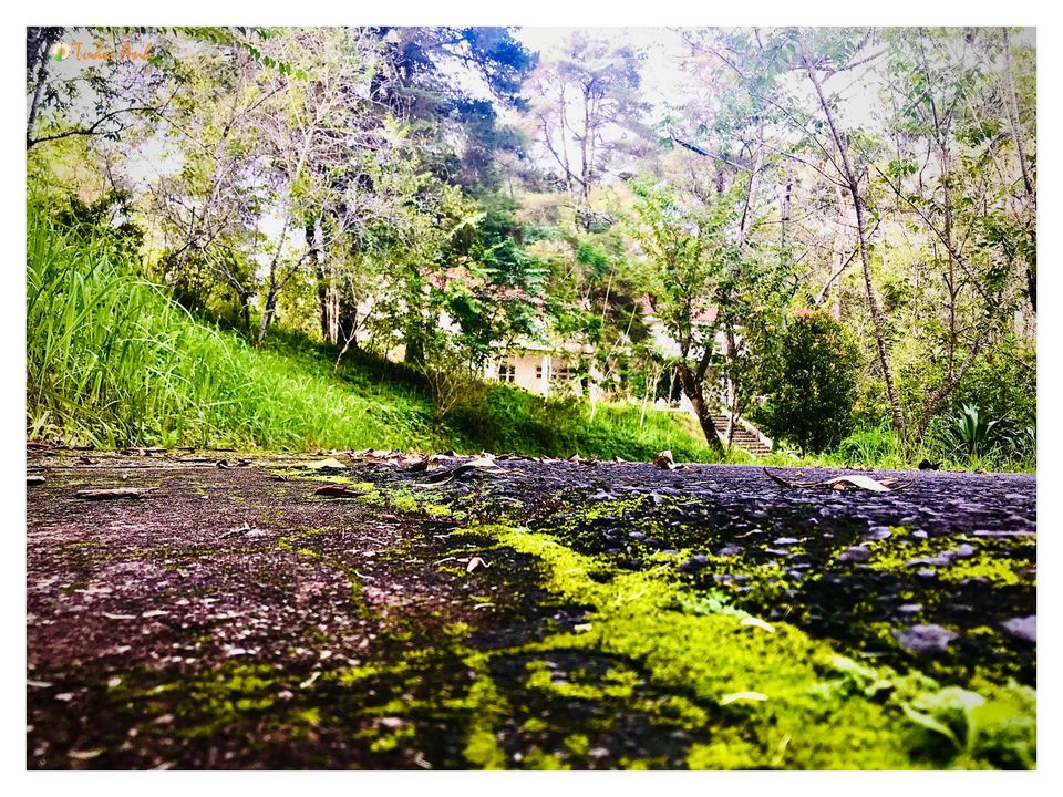 Đẹp mê hồn bộ ảnh về trường ĐH Đà Lạt của chàng Bí thư Đoàn trường ảnh 29