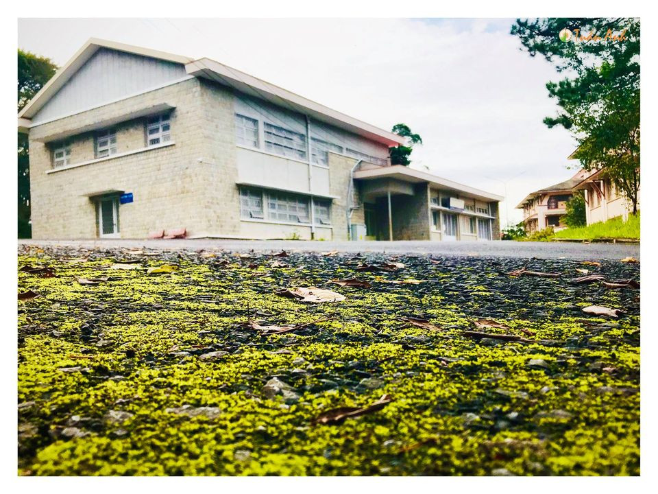 Đẹp mê hồn bộ ảnh về trường ĐH Đà Lạt của chàng Bí thư Đoàn trường ảnh 16