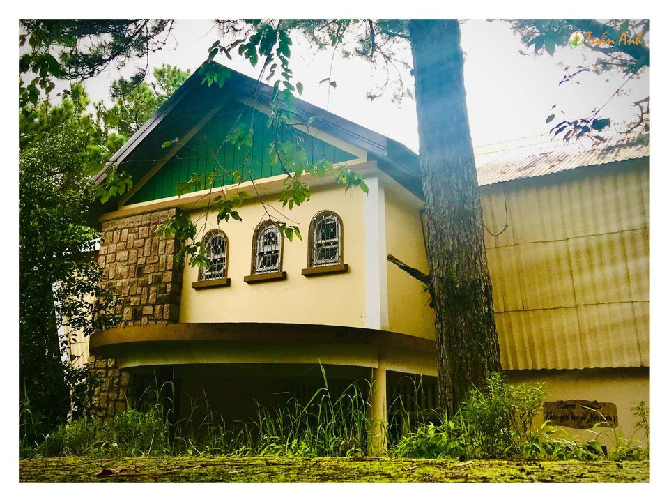 Đẹp mê hồn bộ ảnh về trường ĐH Đà Lạt của chàng Bí thư Đoàn trường ảnh 5