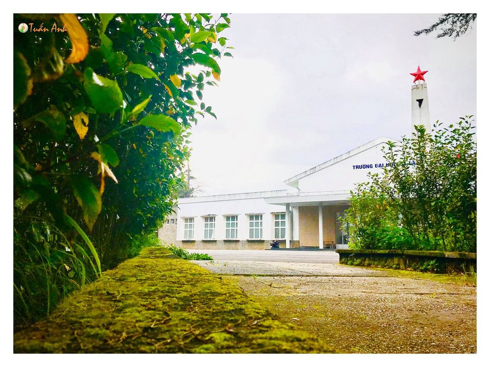 Đẹp mê hồn bộ ảnh về trường ĐH Đà Lạt của chàng Bí thư Đoàn trường ảnh 19