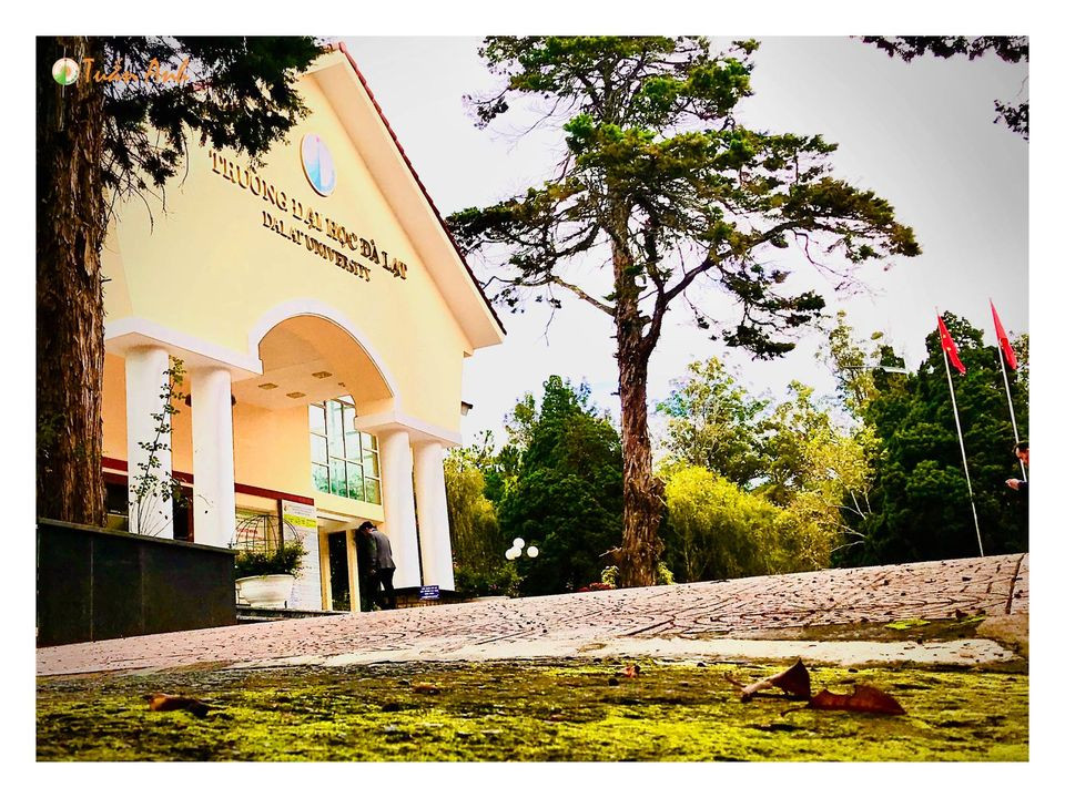 Đẹp mê hồn bộ ảnh về trường ĐH Đà Lạt của chàng Bí thư Đoàn trường ảnh 21