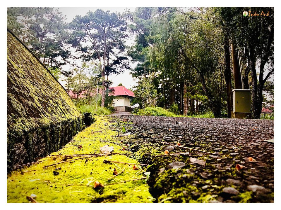 Đẹp mê hồn bộ ảnh về trường ĐH Đà Lạt của chàng Bí thư Đoàn trường ảnh 25