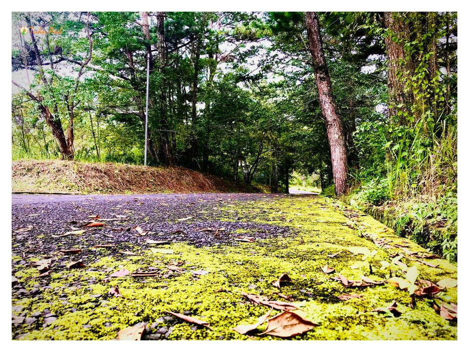 Đẹp mê hồn bộ ảnh về trường ĐH Đà Lạt của chàng Bí thư Đoàn trường ảnh 28