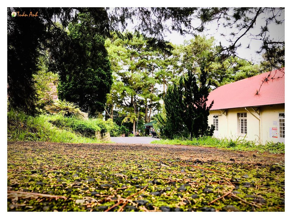 Đẹp mê hồn bộ ảnh về trường ĐH Đà Lạt của chàng Bí thư Đoàn trường ảnh 9