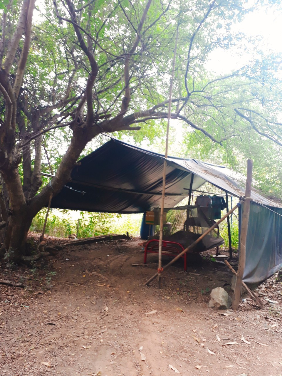 “Ông Bụt” của những sinh viên khu vực Làng Đại học Thủ Đức ảnh 4