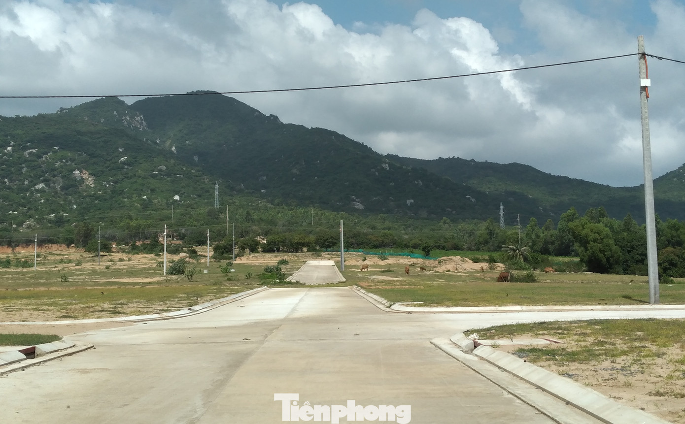 Khu dân cư hơn 33ha xây dựng không phép ở Khánh Hòa ảnh 7