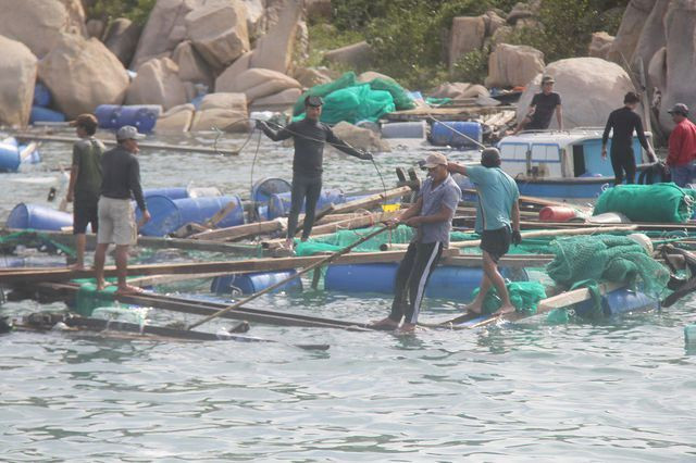 Khánh Hòa yêu cầu ứng cứu hai người dân mắc kẹt trên biển trước giờ bão số 6 đổ bộ ảnh 1