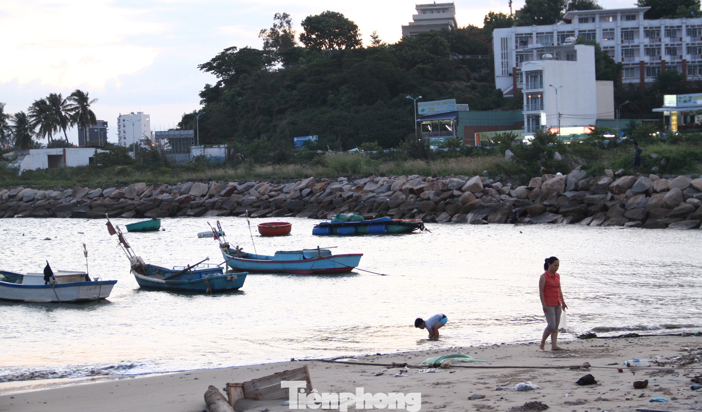 Thu hồi dự án 33 triệu USD lấn biển Nha Trang để xây công viên ảnh 5