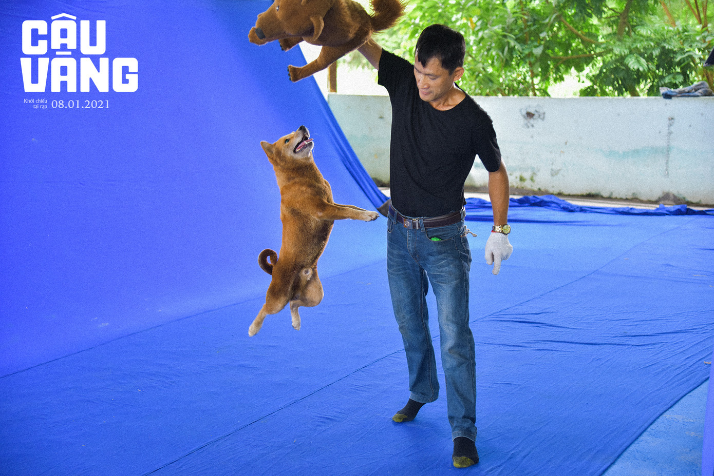 Tất tần tật về vai diễn đặc biệt của chú chó được quan tâm nhất trên màn ảnh rộng Tết 2021 ảnh 5