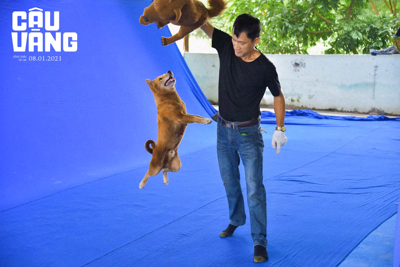 Tất tần tật về vai diễn đặc biệt của chú chó được quan tâm nhất trên màn ảnh rộng Tết 2021 ảnh 5