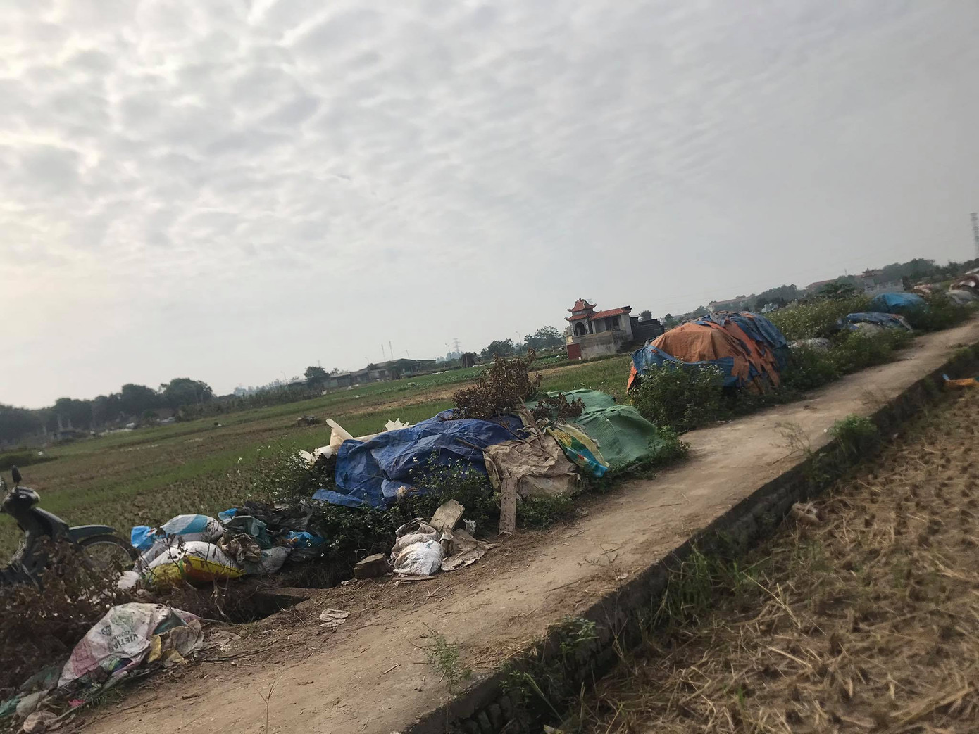 'Xới tung' ven sông Nhuệ tìm nữ sinh Học viện Ngân hàng mất tích ảnh 7