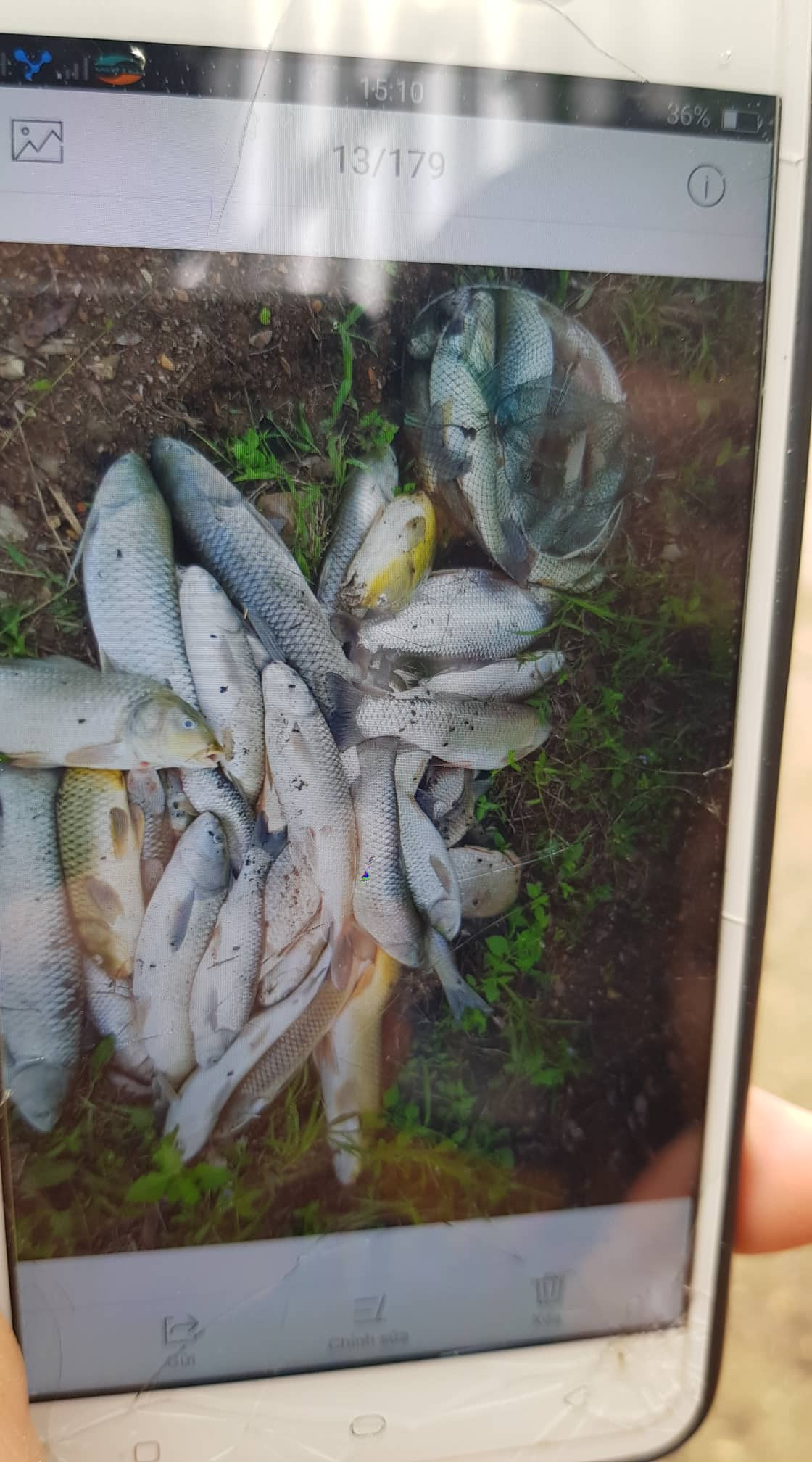 Vạn dân Hà Nội khốn khổ vì nước có mùi lạ: Chất bẩn từ đầu nguồn nước sông Đà? ảnh 1