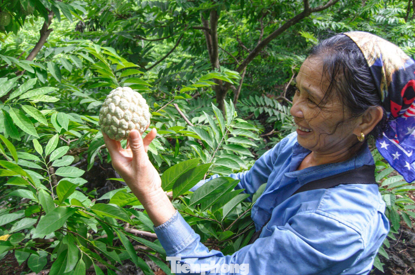 Lạng Sơn: Chợ na lớn nhất nước vào mùa ảnh 5