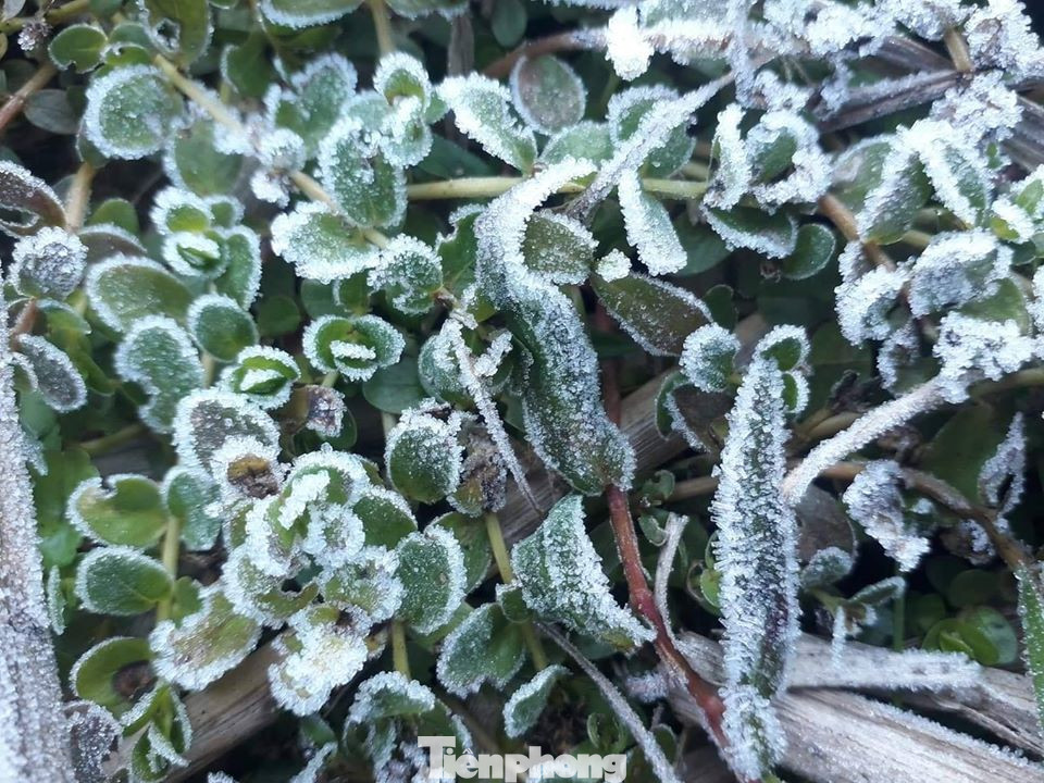 Lặng người trước vẻ đẹp băng giá lung linh ở Cao Bằng ảnh 2