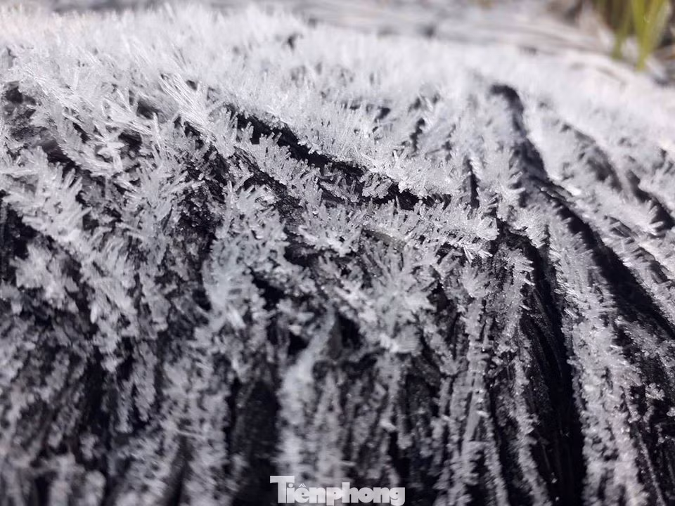 Lặng người trước vẻ đẹp băng giá lung linh ở Cao Bằng ảnh 5