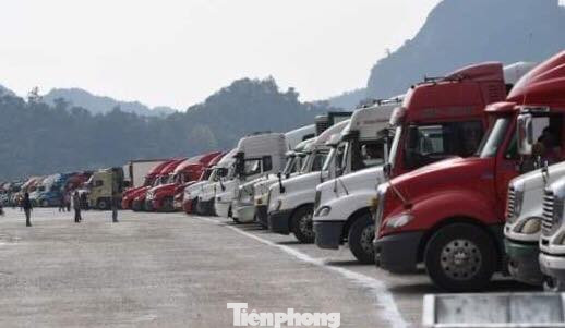 Chưa thông quan xuất hàng ở cửa khẩu Tân Thanh ảnh 1