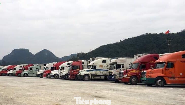 Hơn 200 ô tô chở hoa quả ùn ứ ở cửa khẩu Lạng Sơn vì dịch corona ảnh 1