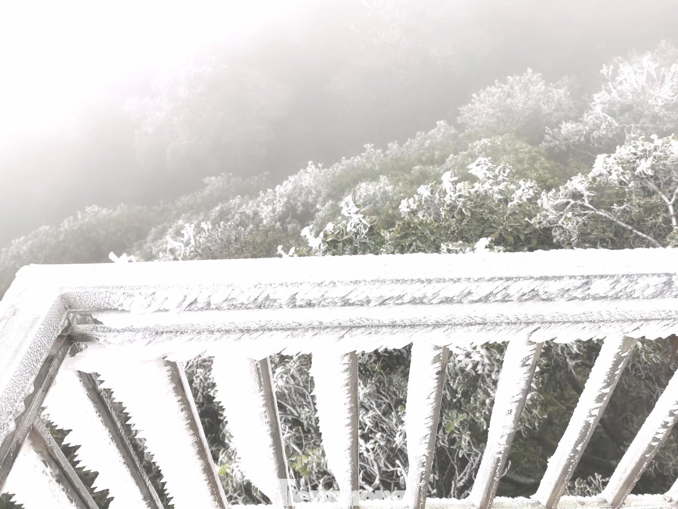 Băng tuyết bao trùm đỉnh Mẫu Sơn, cận cảnh lều bạt được dựng chống giá rét ảnh 8