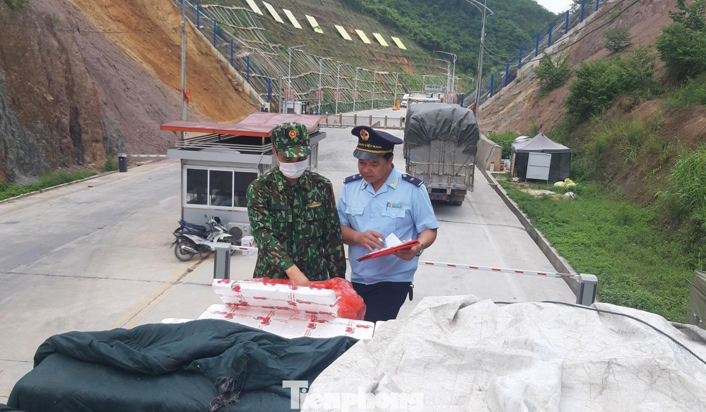 Lạng Sơn: Xuất khẩu quả vải tươi qua cửa khẩu giảm mạnh ảnh 1