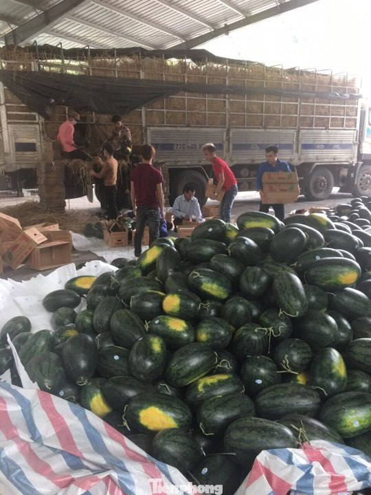 Container chở hoa quả nhộn nhịp qua cửa khẩu Tân Thanh ảnh 1