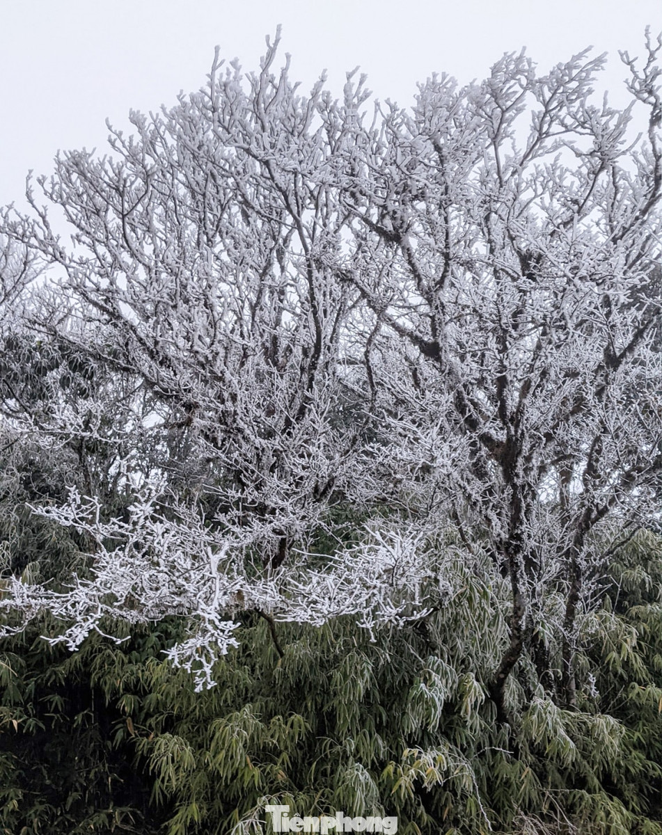 Du khách lên đỉnh Pia Oắc ngắm băng tuyết ảnh 7