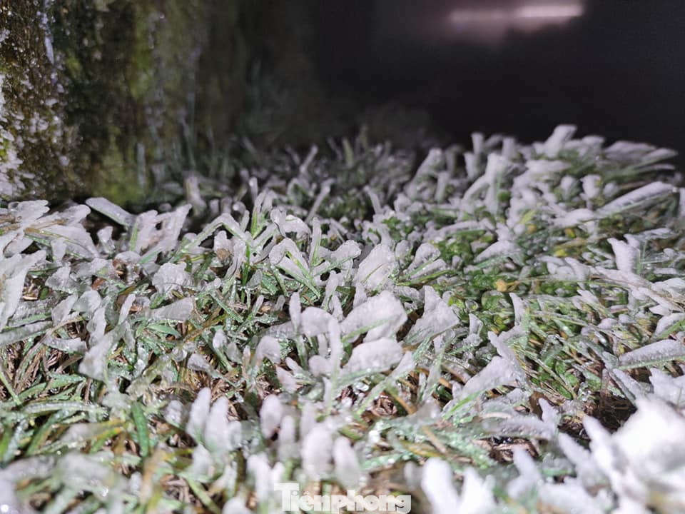 Băng tuyết phủ trắng đỉnh Mẫu Sơn ảnh 1