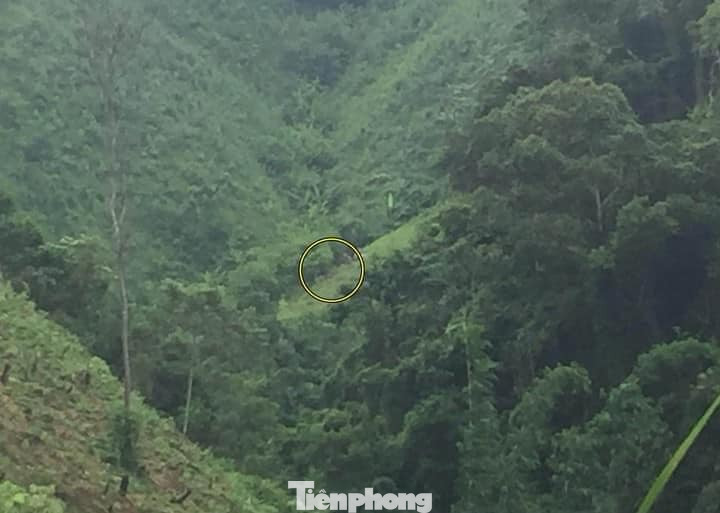 Chồng sát hại vợ rồi trốn lên rừng tự sát ảnh 1