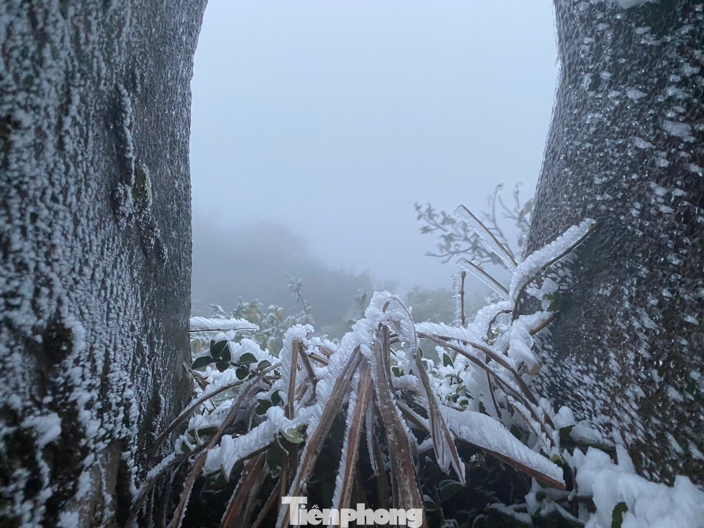 Băng tuyết phủ trắng Mẫu Sơn, hàng trăm người đổ lên xem gây tắc đường ảnh 8