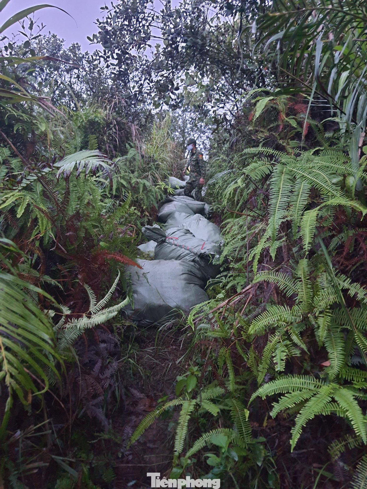 Nhóm buôn lậu rải đinh ngăn cản lực lượng biên phòng truy bắt ảnh 1