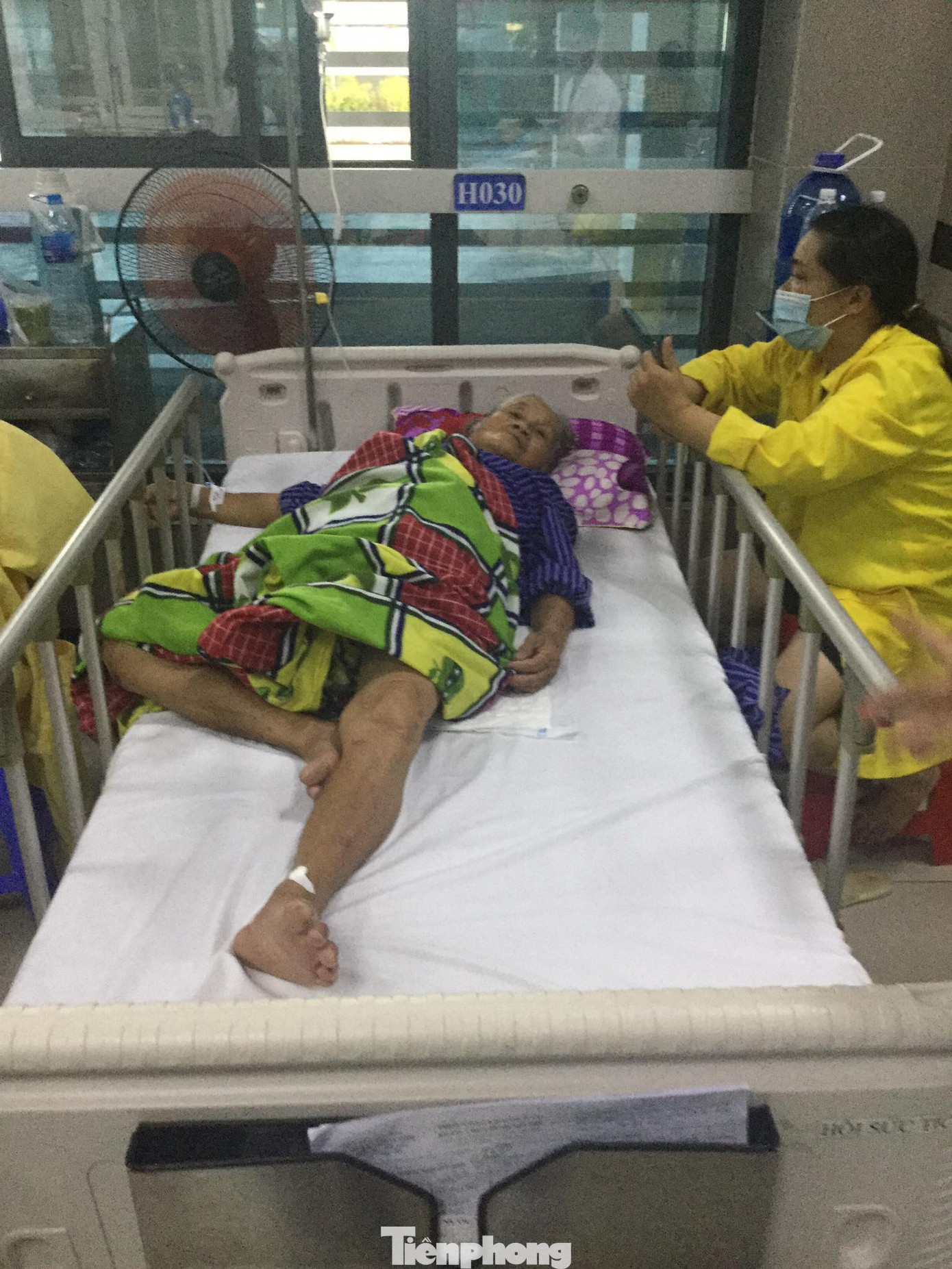 3 người bị hôn mê sâu vì ăn hoa rừng ảnh 1