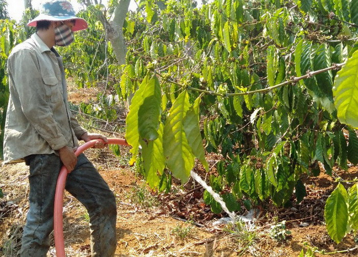 Gần 90.000 hộ dân bị thiếu nước sinh hoạt ảnh 1