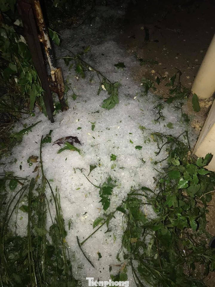 Mưa đá, giông lốc lớn bất ngờ xuất hiện ở Lào Cai, Yên Bái ảnh 6