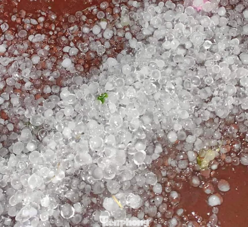 Mưa đá, giông lốc lớn bất ngờ xuất hiện ở Lào Cai, Yên Bái ảnh 7