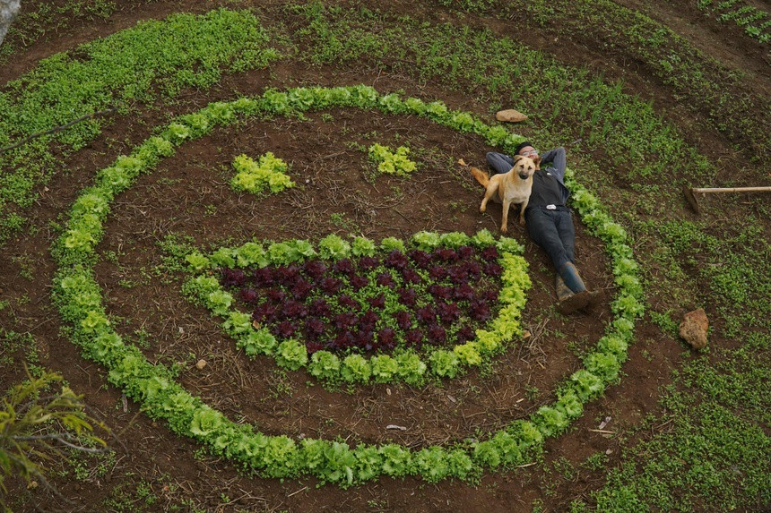 Vợ chồng 9X rời phố về rừng lập nghiệp ảnh 3