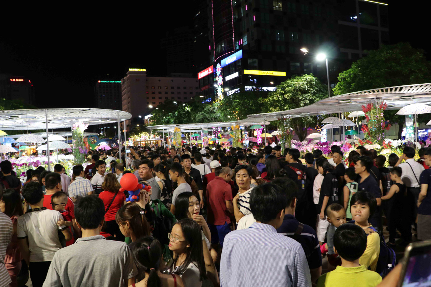 Đường hoa Nguyễn Huệ xuân Canh Tý chính thức mở cửa đón khách ảnh 3