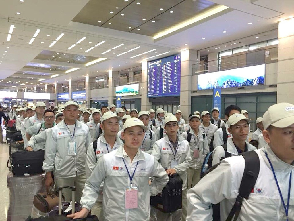 Lao động tại Hàn Quốc hết hạn visa được chuyển sang làm việc thời vụ ảnh 1