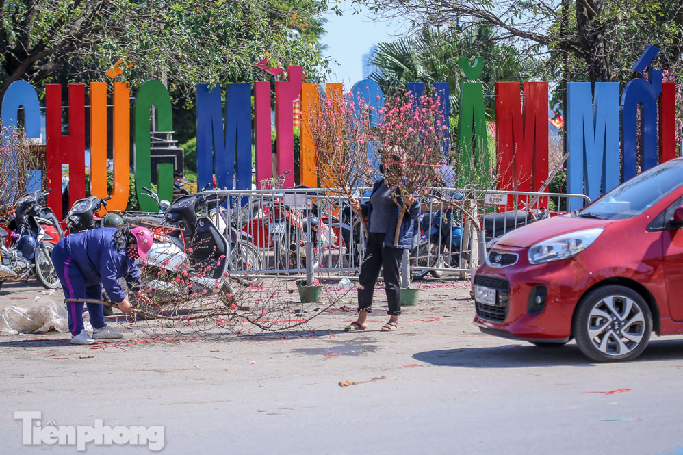 Nắng lên, tiểu thương 'ôm' đào quất ngóng người mua ảnh 15