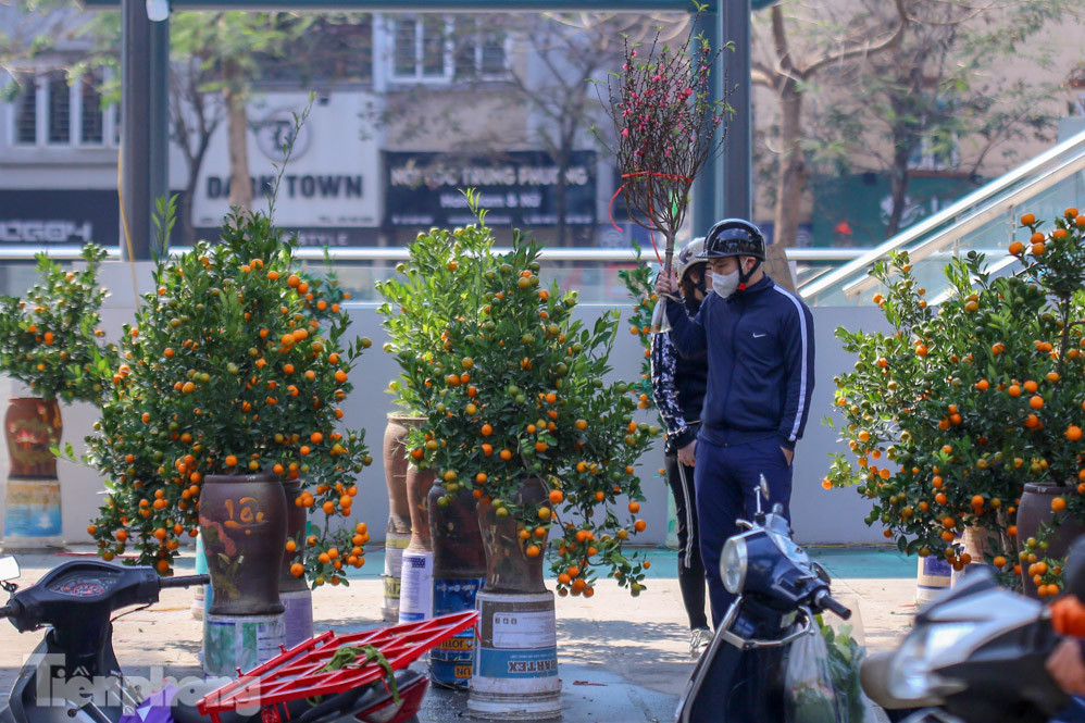 Nắng lên, tiểu thương 'ôm' đào quất ngóng người mua ảnh 4