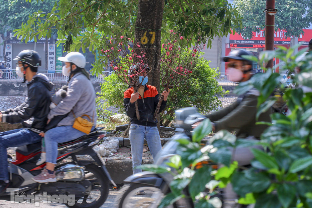 Nắng lên, tiểu thương 'ôm' đào quất ngóng người mua ảnh 7