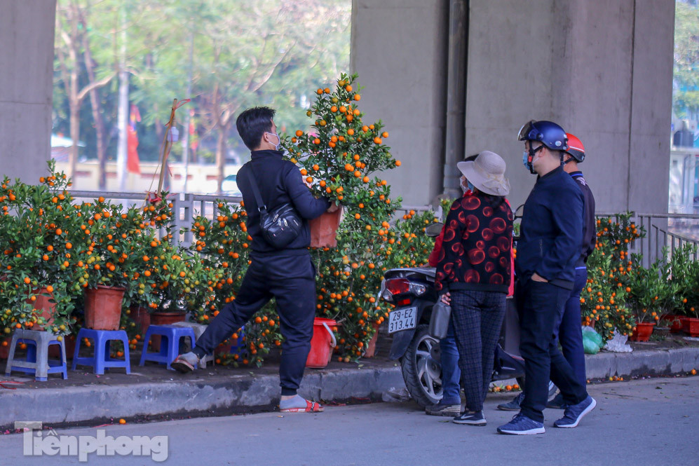 Nắng lên, tiểu thương 'ôm' đào quất ngóng người mua ảnh 5