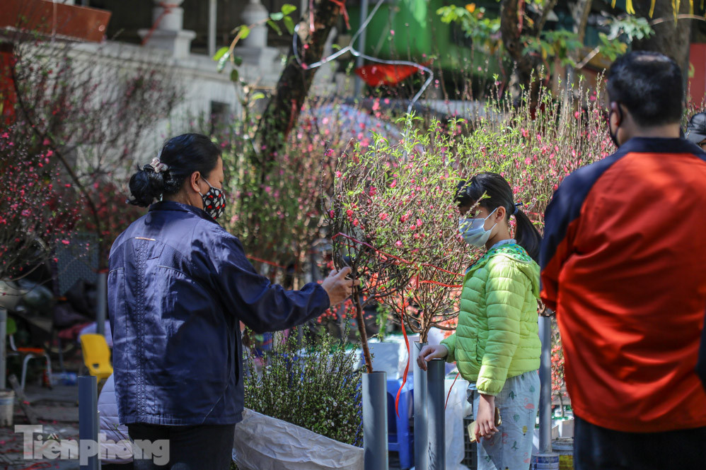 Nắng lên, tiểu thương 'ôm' đào quất ngóng người mua ảnh 18