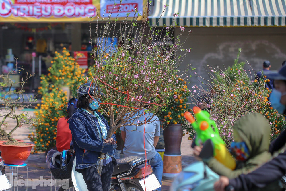 Nắng lên, tiểu thương 'ôm' đào quất ngóng người mua ảnh 11