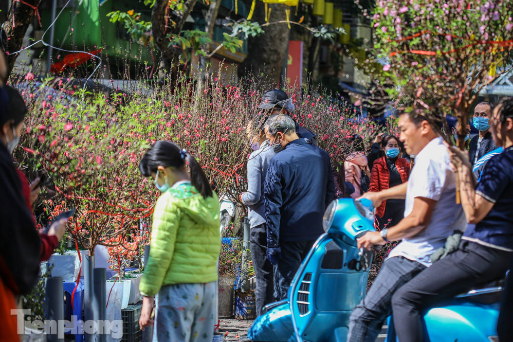 Nắng lên, tiểu thương 'ôm' đào quất ngóng người mua ảnh 17