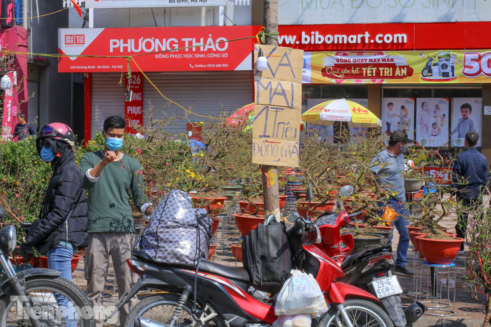 Nắng lên, tiểu thương 'ôm' đào quất ngóng người mua ảnh 10
