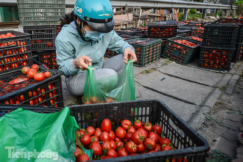 Người dân Thủ đô nườm nượp đến 'giải cứu' nông sản cho Hải Dương ảnh 3